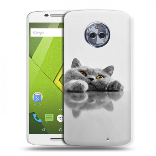 Дизайнерский пластиковый чехол для Motorola Moto X4 Коты