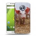 Дизайнерский пластиковый чехол для Motorola Moto X4 Свинки