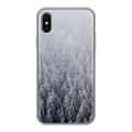 Дизайнерский силиконовый чехол для Iphone x10 Зима