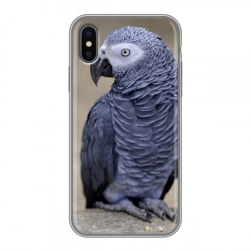 Дизайнерский силиконовый чехол для Iphone x10 Попугаи