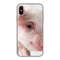 Дизайнерский силиконовый чехол для Iphone x10 Свинки