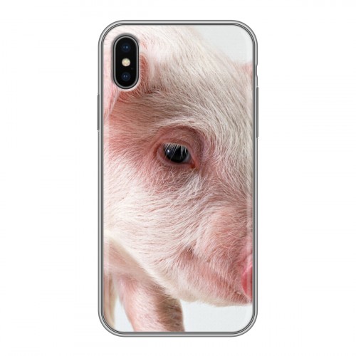 Дизайнерский силиконовый чехол для Iphone x10 Свинки