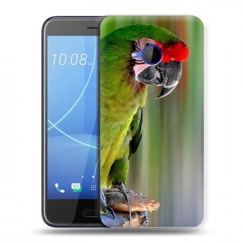Дизайнерский пластиковый чехол для HTC U11 Life Попугаи