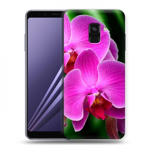 Дизайнерский пластиковый чехол для Samsung Galaxy A8 (2018) Орхидеи