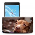 Дизайнерский силиконовый чехол для Lenovo Tab 4 7 Собаки