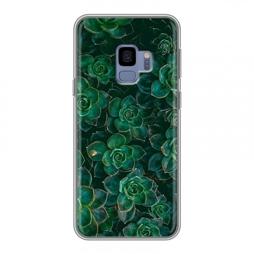 Дизайнерский пластиковый чехол для Samsung Galaxy S9 Нуарные листья