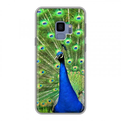 Дизайнерский пластиковый чехол для Samsung Galaxy S9 Павлины