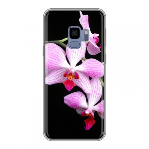 Дизайнерский пластиковый чехол для Samsung Galaxy S9 Орхидеи