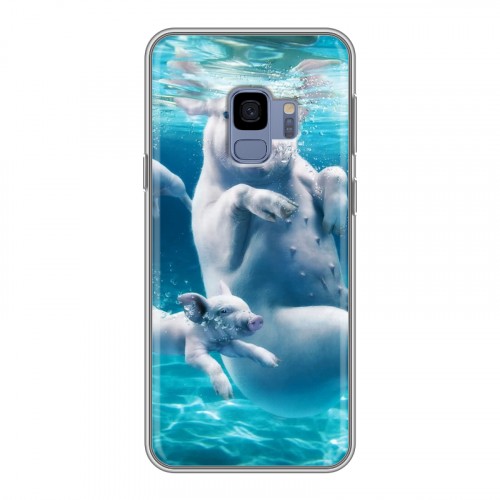 Дизайнерский пластиковый чехол для Samsung Galaxy S9 Свинки