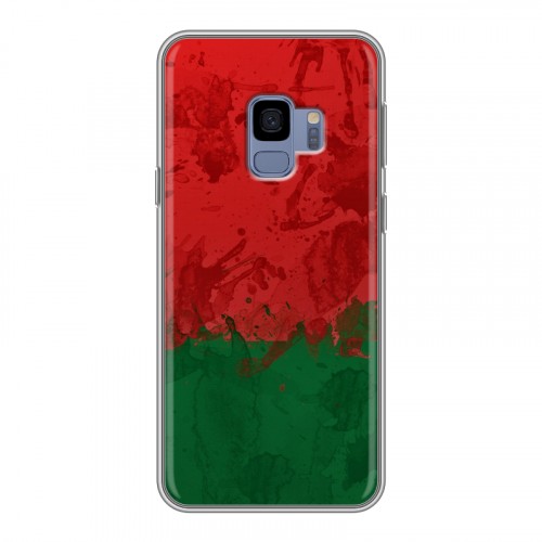Дизайнерский пластиковый чехол для Samsung Galaxy S9 Флаг Белоруссии