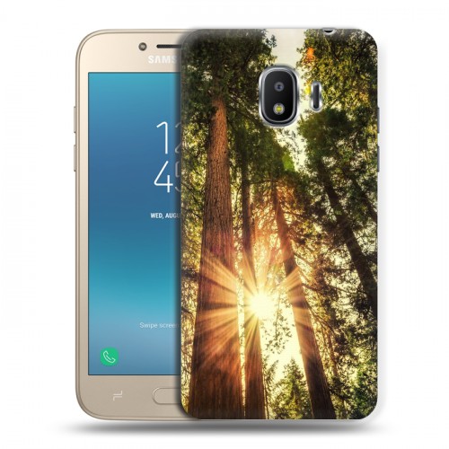 Дизайнерский пластиковый чехол для Samsung Galaxy J2 (2018) лес