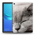 Дизайнерский силиконовый чехол для Huawei MediaPad M5 10.8 Коты