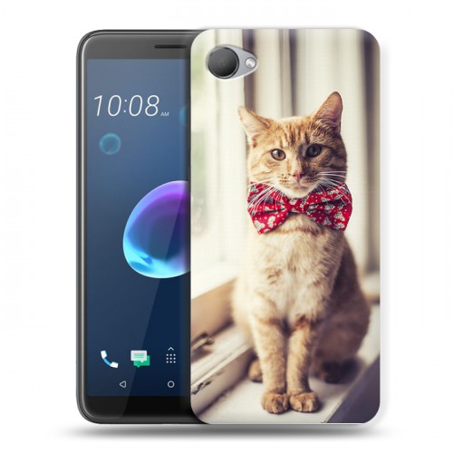 Дизайнерский пластиковый чехол для HTC Desire 12 Кошки