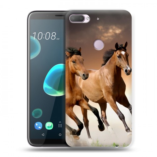 Дизайнерский пластиковый чехол для HTC Desire 12 Plus Лошади