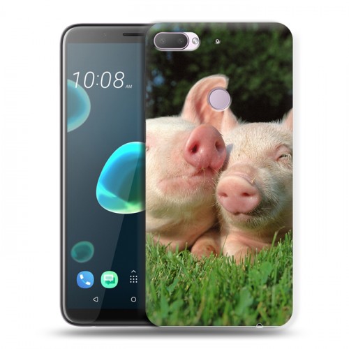 Дизайнерский пластиковый чехол для HTC Desire 12 Plus Свинки