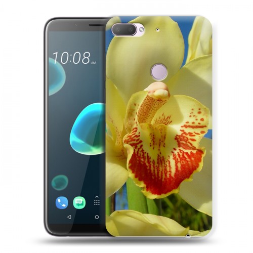 Дизайнерский пластиковый чехол для HTC Desire 12 Plus Орхидеи