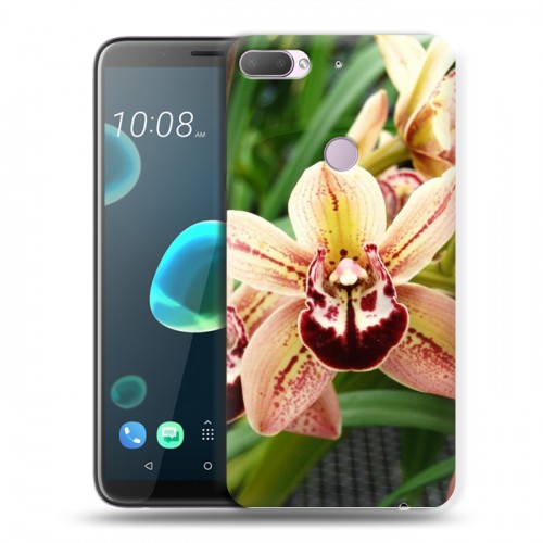 Дизайнерский пластиковый чехол для HTC Desire 12 Plus Орхидеи
