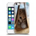 Дизайнерский пластиковый чехол для Iphone 5s Котята