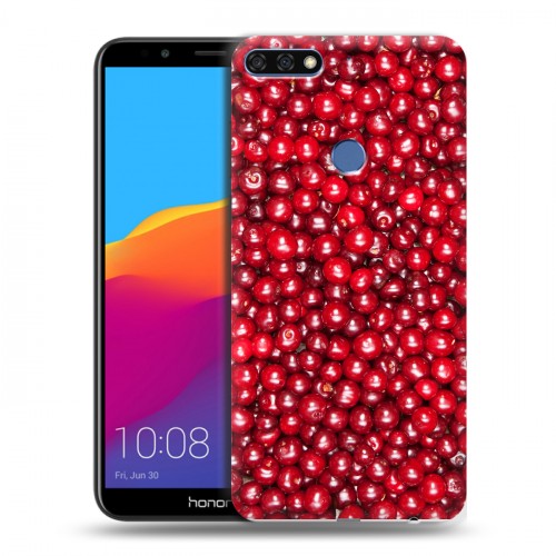 Дизайнерский пластиковый чехол для Huawei Honor 7C Pro Ягоды