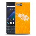 Дизайнерский пластиковый чехол для BlackBerry KEY2 LE Апельсины
