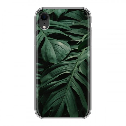 Дизайнерский силиконовый чехол для Iphone Xr Нуарные листья