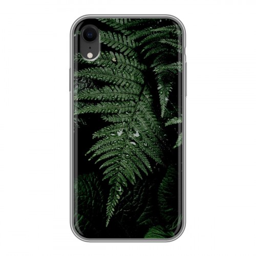Дизайнерский силиконовый чехол для Iphone Xr Нуарные листья