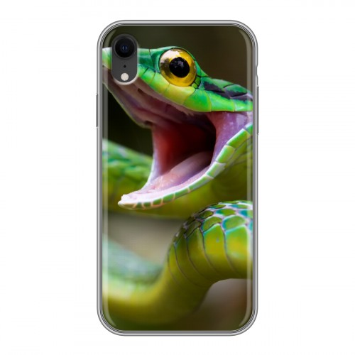 Дизайнерский силиконовый чехол для Iphone Xr Змеи