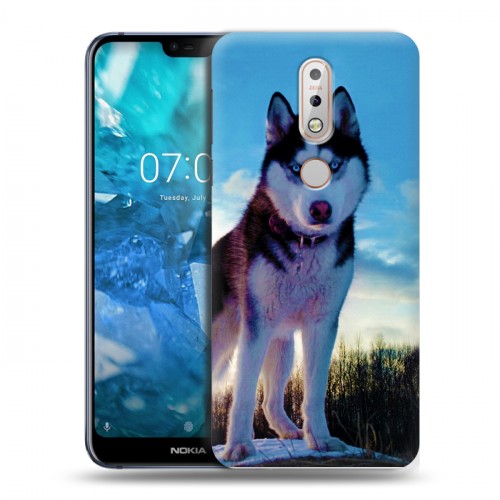Дизайнерский пластиковый чехол для Nokia 7.1 Собаки