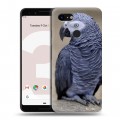 Дизайнерский пластиковый чехол для Google Pixel 3 Попугаи