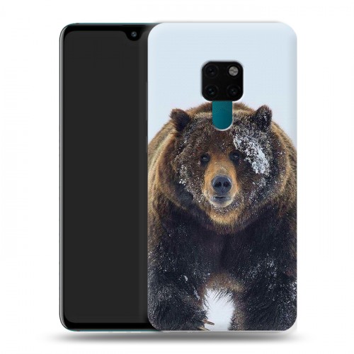 Дизайнерский пластиковый чехол для Huawei Mate 20 Медведь