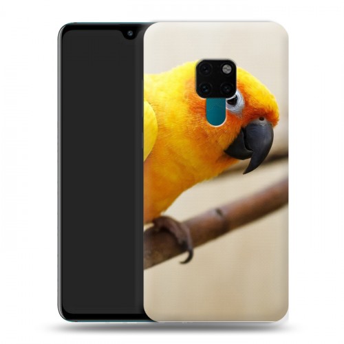 Дизайнерский пластиковый чехол для Huawei Mate 20 Попугаи