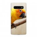 Дизайнерский силиконовый чехол для Samsung Galaxy S10 Попугаи