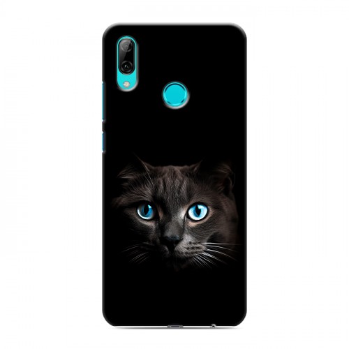 Дизайнерский пластиковый чехол для Huawei P Smart (2019) Кот в темноте