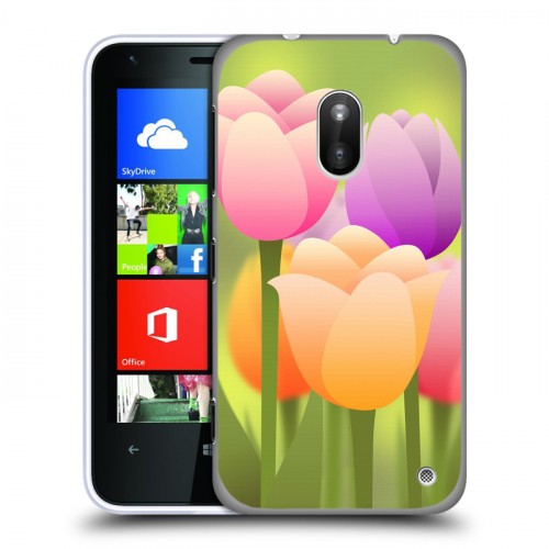Дизайнерский пластиковый чехол для Nokia Lumia 620 Романтик цветы