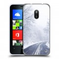 Дизайнерский пластиковый чехол для Nokia Lumia 620 зима