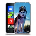 Дизайнерский пластиковый чехол для Nokia Lumia 620 Собаки