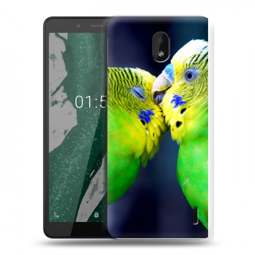 Дизайнерский силиконовый чехол для Nokia 1 Plus Попугаи
