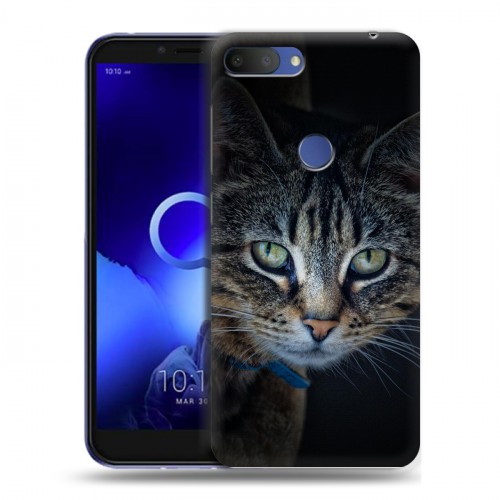 Дизайнерский пластиковый чехол для Alcatel 1S (2019) Кошки