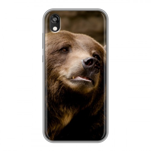 Дизайнерский силиконовый чехол для Huawei Honor 8s Медведи