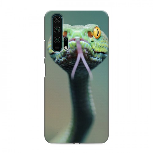 Дизайнерский силиконовый чехол для Huawei Honor 20 Pro Змеи