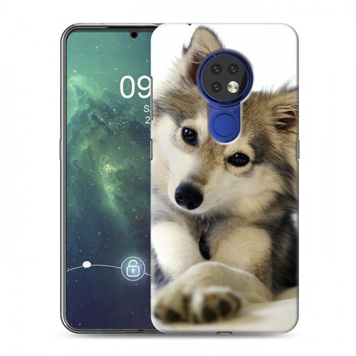 Дизайнерский пластиковый чехол для Nokia 6.2 Собаки
