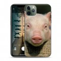 Дизайнерский пластиковый чехол для Iphone 11 Pro Max Свинки