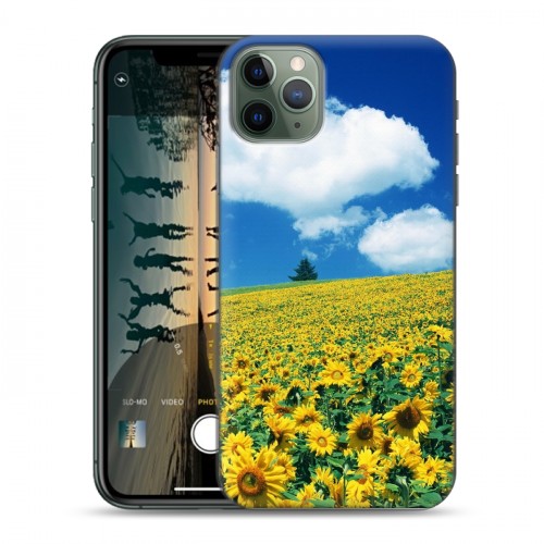 Дизайнерский пластиковый чехол для Iphone 11 Pro Max Подсолнухи