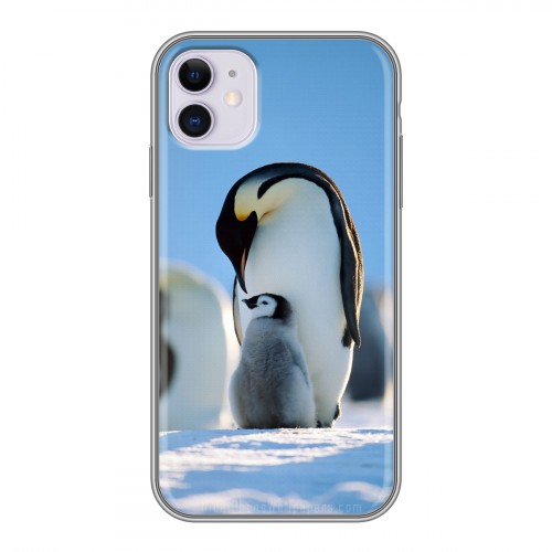 Дизайнерский силиконовый чехол для Iphone 11 Пингвины