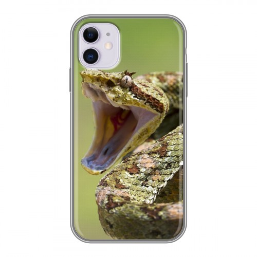 Дизайнерский пластиковый чехол для Iphone 11 Змеи