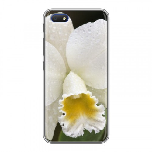 Дизайнерский пластиковый чехол для Alcatel 1V (2019) Орхидеи