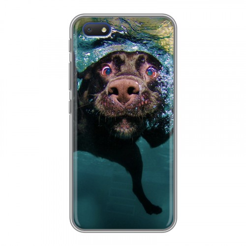 Дизайнерский пластиковый чехол для Alcatel 1V (2019) Собаки