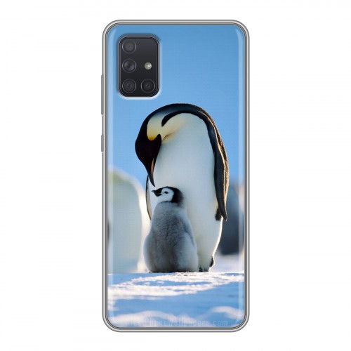 Дизайнерский силиконовый чехол для Samsung Galaxy A71 Пингвины