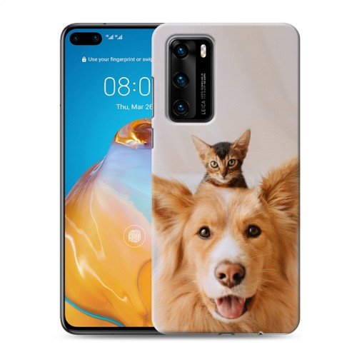 Дизайнерский пластиковый чехол для Huawei P40 Собака и котенок