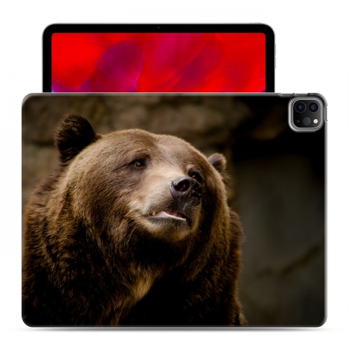 Дизайнерский пластиковый чехол для Ipad Pro 12.9 (2020) Медведи